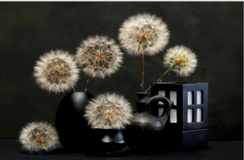 Pozvánka F2020 Liberec